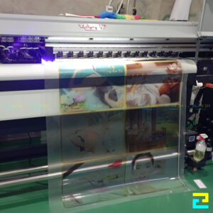 In Backlit Film Logo Compressed