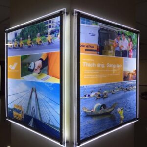 In Backlit Film Compressed