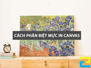 Hướng Dẫn Chi Tiết Cách Phân Biệt Các Loại Mực In Canvas