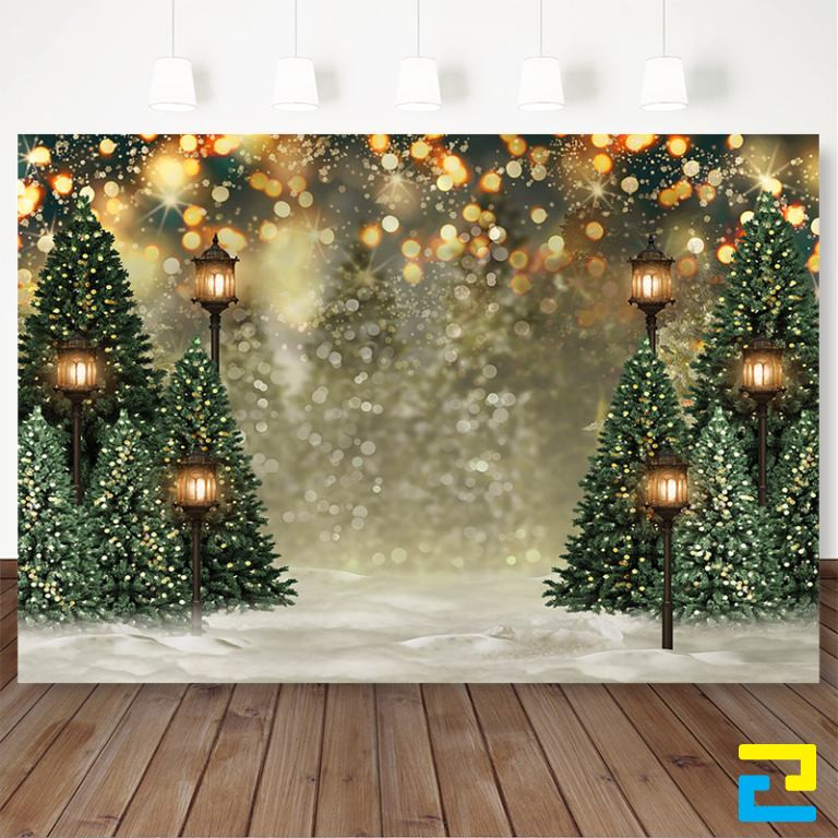 Hình ảnh thực tế