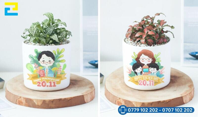 Cay Canh Qua Tang 20 11