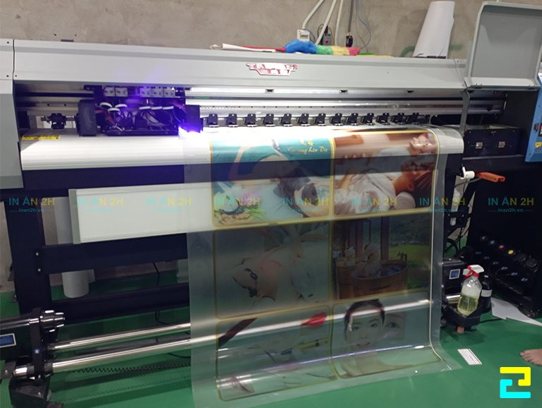 In Backlit Film 1 Compressed